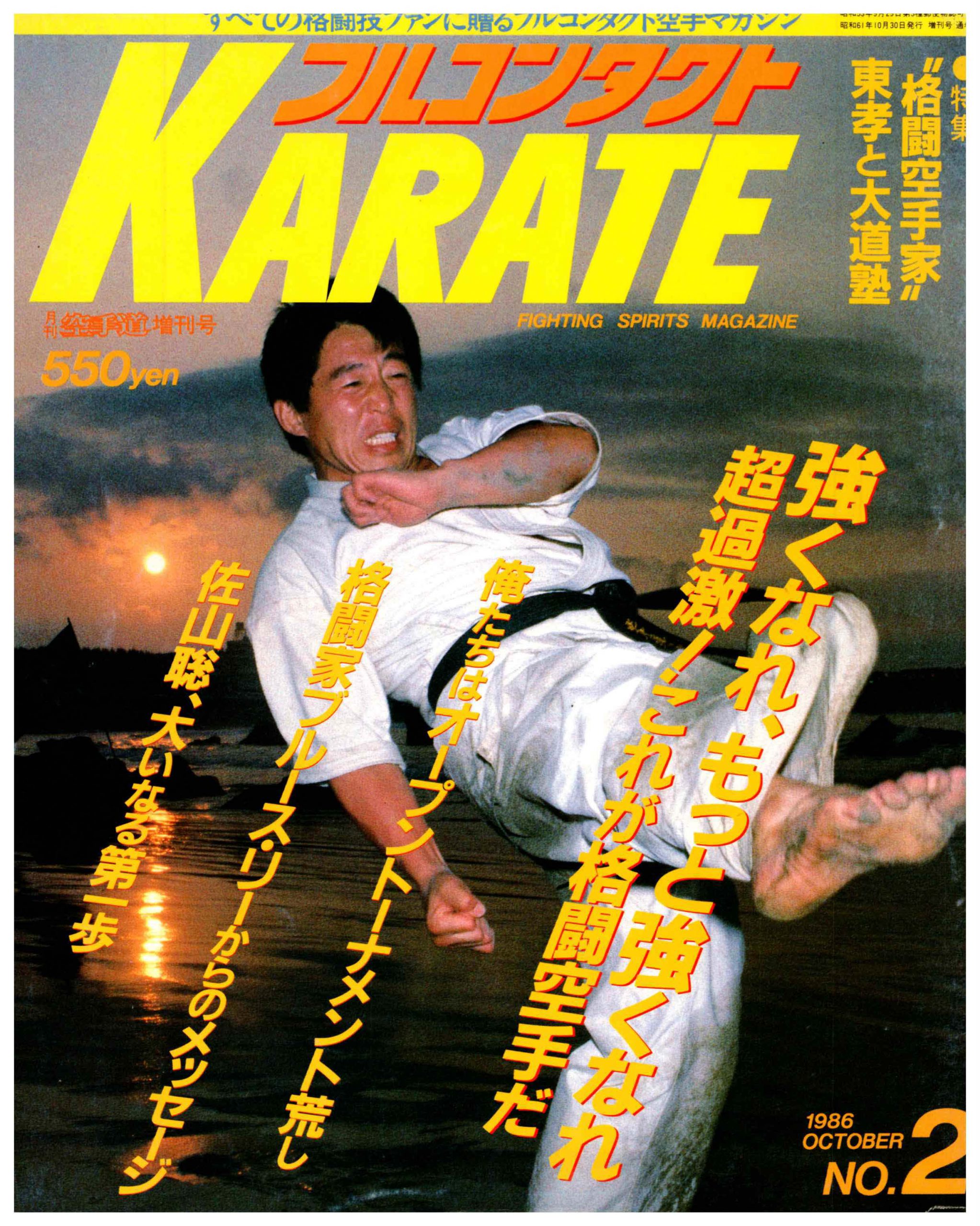 格闘空手大道塾ＤＶＤ－ＢＯＸ／東孝